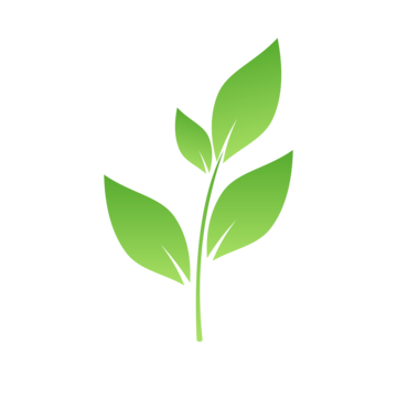 pngtree-green-leaf-icon-vector-png-image_6005736